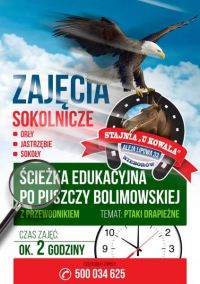 plakat reklamujący zajęcia sokolnicze w stajni